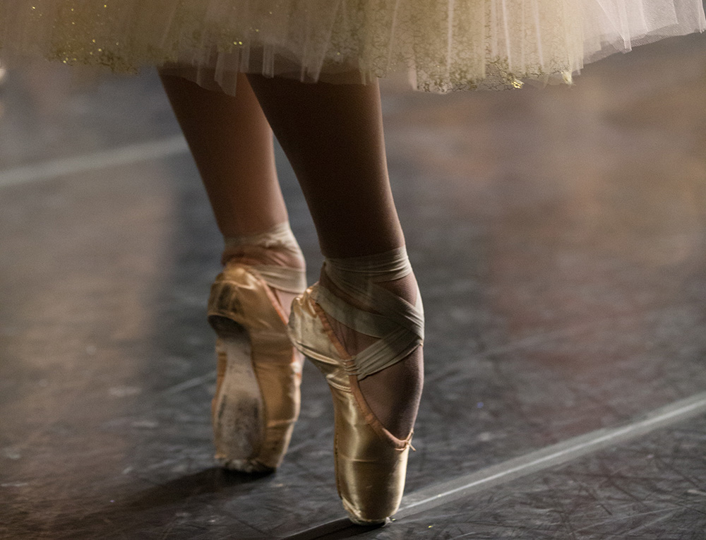 Ballet Pointe Shoes plandetransformacion.unirioja.es