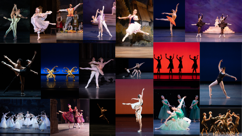 Neutral Photo Collage Bookworm Desktop Wallpaper (1)